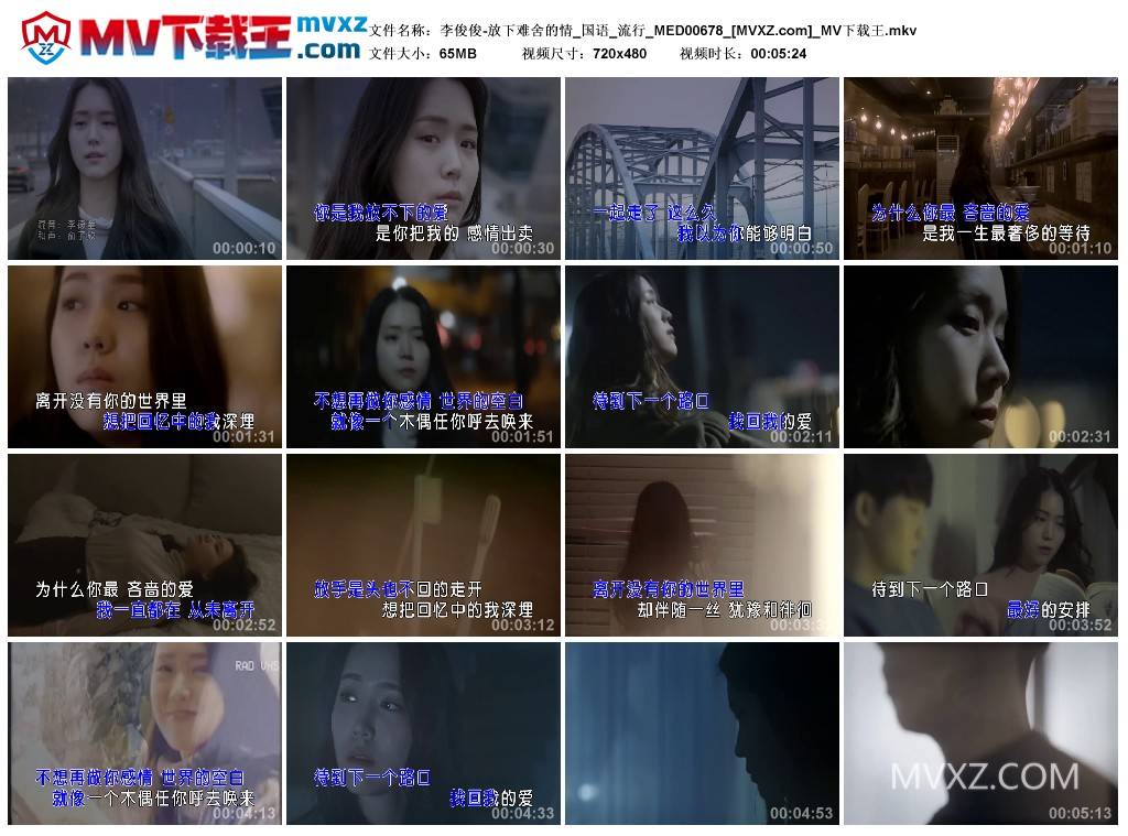 李俊俊-放下难舍的情_国语_流行_MED00678